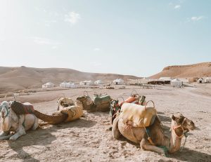 Excursions Marrakech
