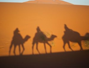 Circuit au desert Marocain