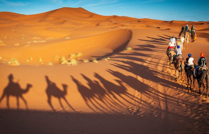 7 jour circuite les ville impriale de maroc (2)