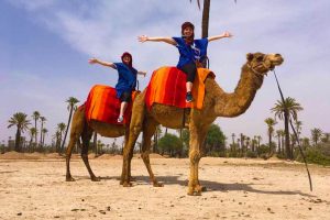 balade a dos de dromadaire marrakech